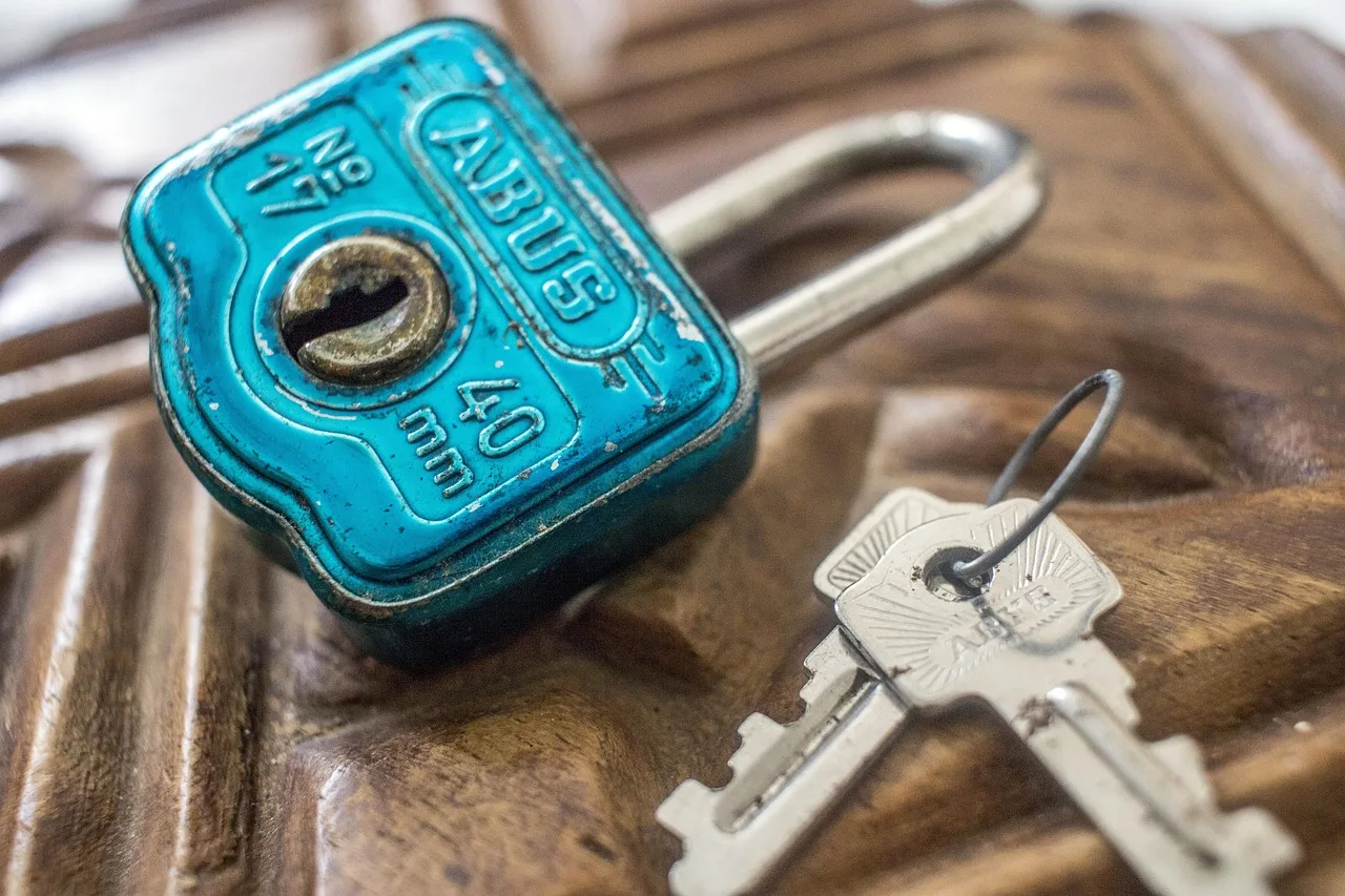 lock, key, vintage, creative, security, safe, door, protection, access, close, open, secret, symbol, protect, private, design, brown security, brown door, brown key, brown creative, safe, safe, safe, safe, safe, secret, private, private, private. How to review an online identity before you trust or publish it