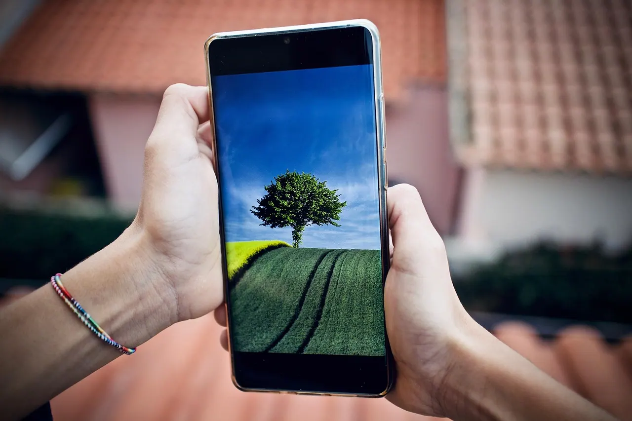 mobile phone, cellphone, phone, communication, technology, smartphone, the internet, nature, message, call, touchscreen, display, device, modern, digital, screen, tree. Testing a meme literacy workshop against the evidence