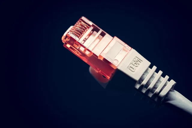 cat, pet, communication, computer, 5, ethernet, network, networking, cable, bandwidth, broadband, connect, connection, connector, data, internet, technology, telecommunications, equipment, wire, closeup, blue computer, animal, blue technology, blue laptop, blue data, blue network, blue community, blue internet, blue communication. How US internet access gaps differ by rural, tribal, and urban county type